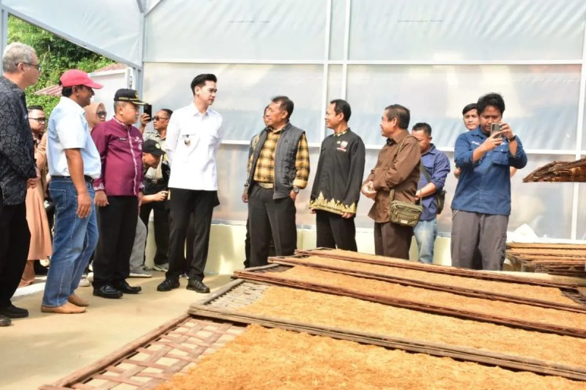 Sumedang Dorong Smart Farming Tembakau, Regenerasi Petani Jadi Fokus