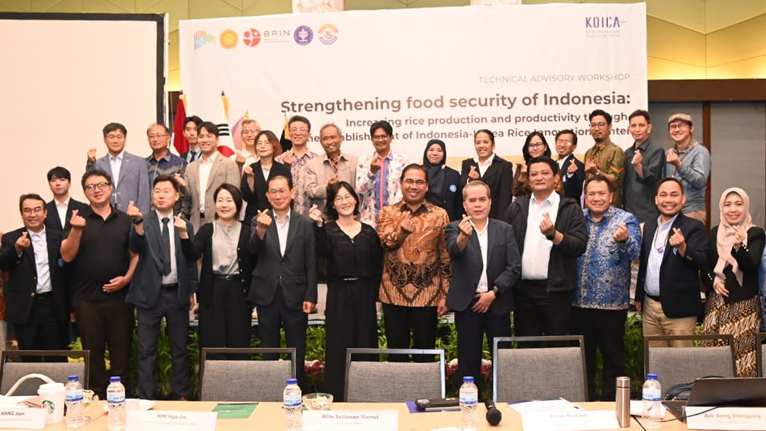 RICE Project IPB University, Strategi Baru Perkuat Inovasi Padi Indonesia hingga 2032