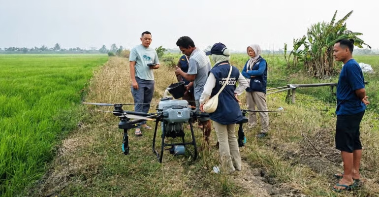 Drone Pertanian Pangkas Waktu Penyemprotan Sawah di Merauke